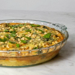 Aux Co. Ltd. Japan Sukueru Knife -Cooking Tools Store aux co ltd japan sukueru knife aux co ltd 28305375166521