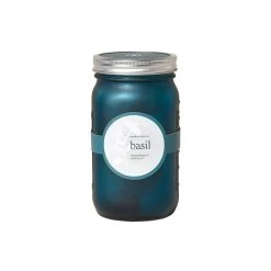 Modern Sprout Indoor Garden Jar - Basil