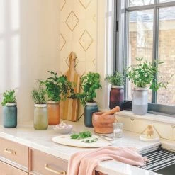 Modern Sprout Indoor Garden Jar - Basil 8 Modern Sprout Indoor Garden Jar - Basil -Cooking Tools Store modern sprout indoor garden jar basil modern sprout 28335732555833