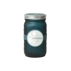 Modern Sprout Indoor Garden Jar - Cilantro