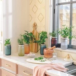 Modern Sprout Indoor Garden Jar - Parsley -Cooking Tools Store modern sprout indoor garden jar parsley modern sprout 28350454431801