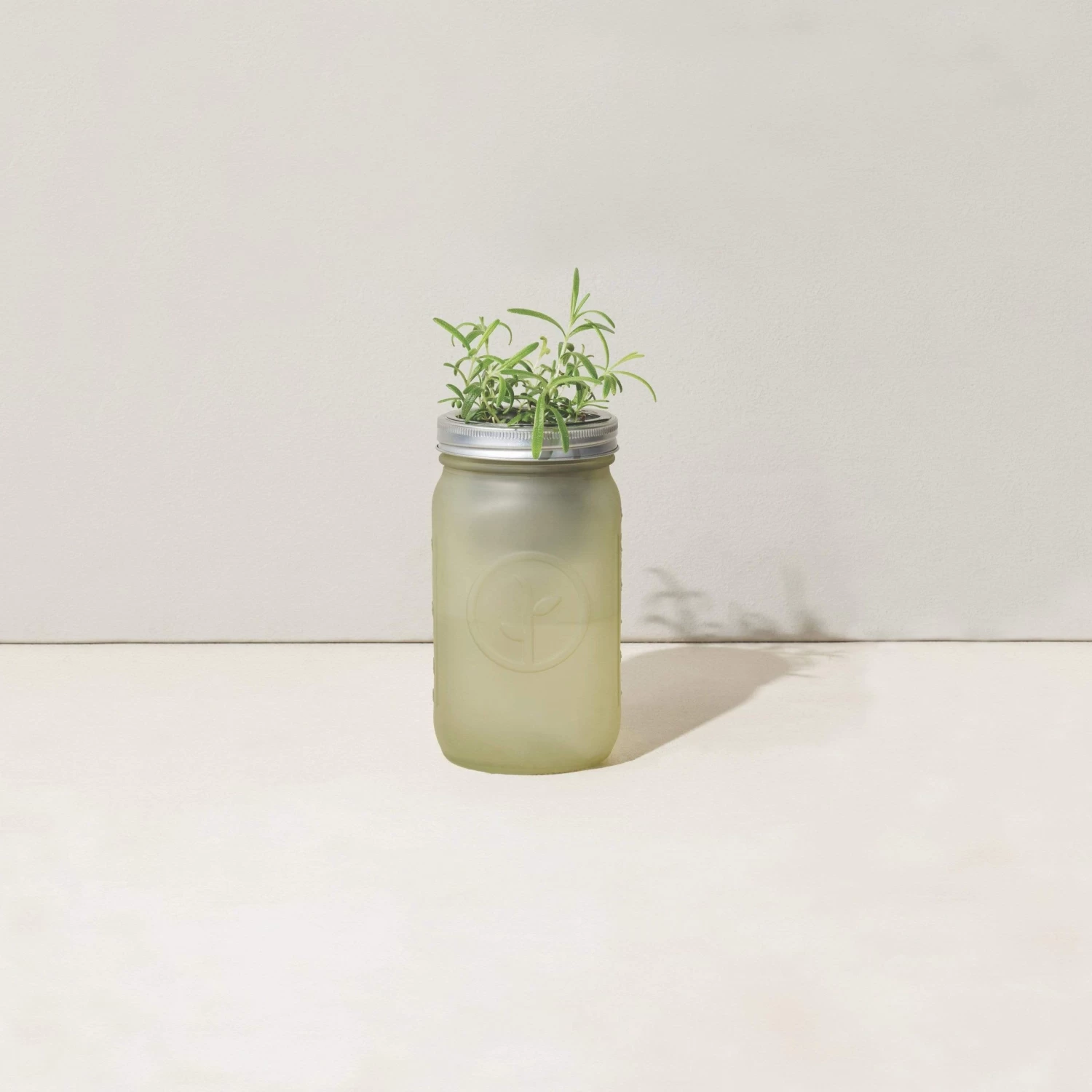 Modern Sprout Indoor Garden Jar - Rosemary 4 Modern Sprout Indoor Garden Jar - Rosemary - Image 2