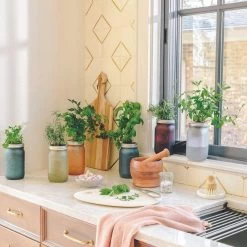 Modern Sprout Indoor Garden Jar - Rosemary 8 Modern Sprout Indoor Garden Jar - Rosemary -Cooking Tools Store modern sprout indoor garden jar rosemary modern sprout 28335724036153