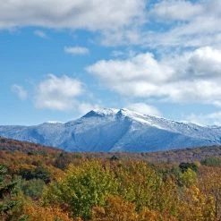 Mount Mansfield Maple Products Maple Syrup -Cooking Tools Store mount mansfield maple products maple syrup pantry mount mansfield maple products 270176