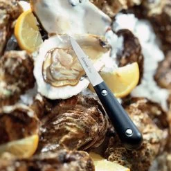 Triangle Tools Oyster Knife -Cooking Tools Store triangle tools oyster knife equipment triangle 882448