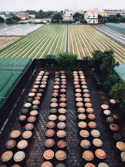 Yun Hai Taiwanese Pantry Pineapple Soy Sauce -Cooking Tools Store yun hai taiwanese pantry pineapple soy sauce yun hai taiwanese pantry 28277083799609